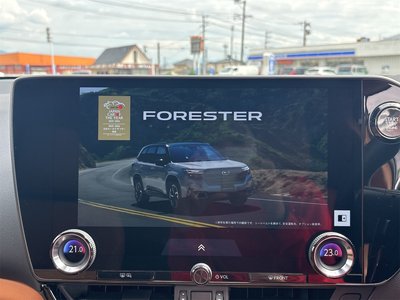 2025 Lexus NX thumbnail 48