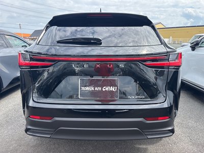 2025 Lexus NX photo 8