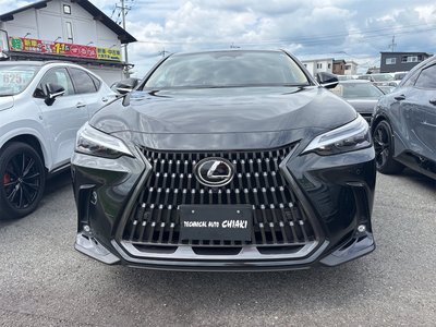 2025 Lexus NX photo 2
