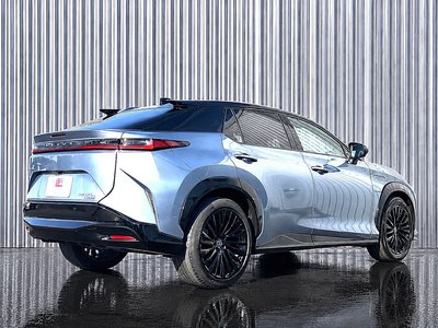 صورة 29 لـ 2023 Lexus RZ