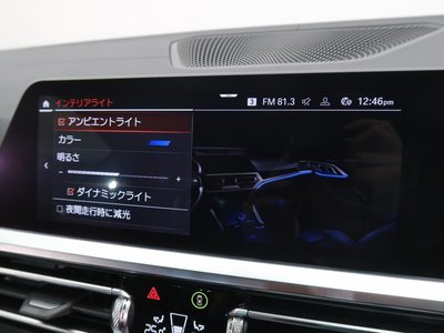 2022 BMW 4 SERIES CABRIOLET thumbnail 24