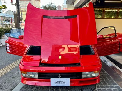 صورة مصغرة 17 لـ 1991 Ferrari TESTAROSSA