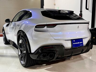 صورة 3 لـ 2024 Ferrari PUROSANGUE