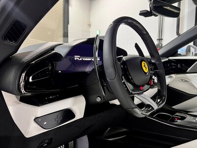 صورة 9 لـ 2024 Ferrari PUROSANGUE