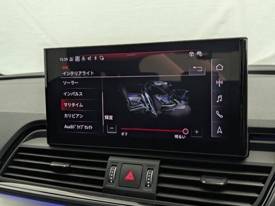 2023 AUDI Q5 SPORTBACK 照片 33