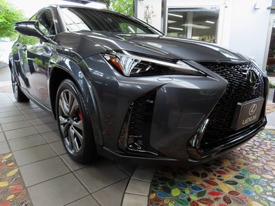 صورة 24 لـ 2024 Lexus UX
