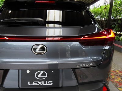 صورة 18 لـ 2024 Lexus UX