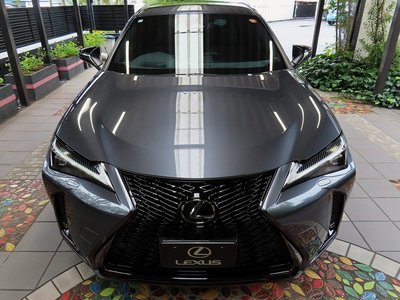 صورة 7 لـ 2024 Lexus UX