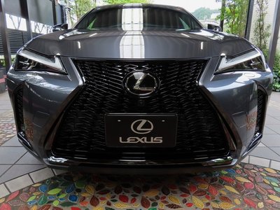 صورة 8 لـ 2024 Lexus UX