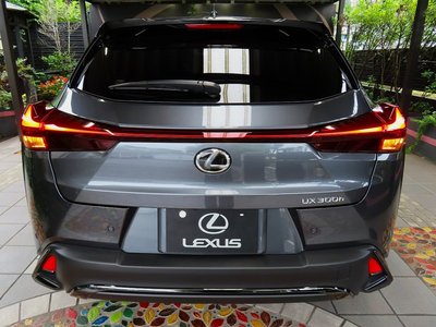 صورة 19 لـ 2024 Lexus UX