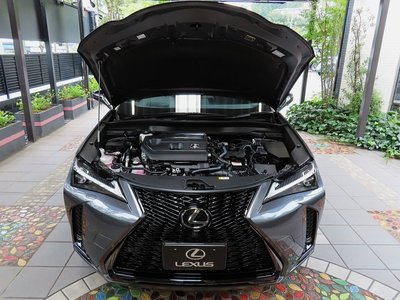 صورة 81 لـ 2024 Lexus UX