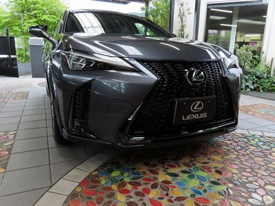 صورة 41 لـ 2024 Lexus UX
