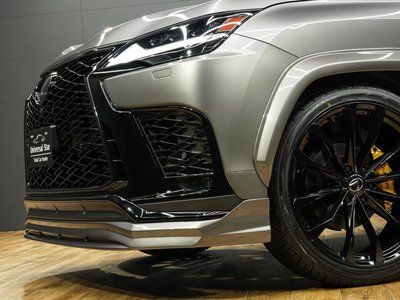 2024 Lexus LX thumbnail 38