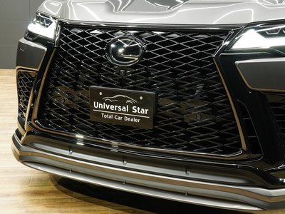 2024 Lexus LX photo 10