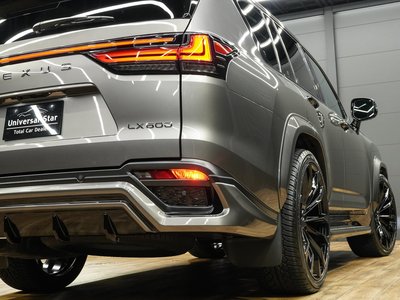 2024 Lexus LX thumbnail 66
