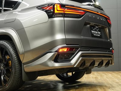 2024 Lexus LX thumbnail 55