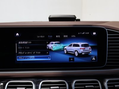 2023 Mercedes-BENZ GLS MAYBACH — миниатюра 10