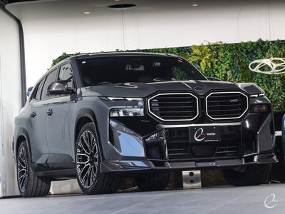 2023 BMW XM — фото 15