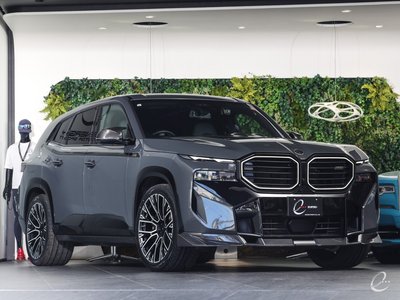 2023 BMW XM — фото 13