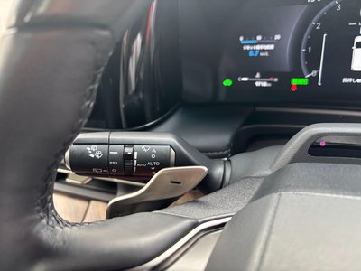 2024 Lexus LM photo 30