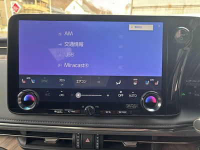 2024 Lexus LM photo 42