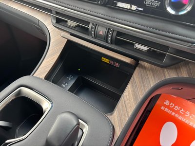 2024 Lexus LM photo 50