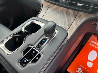 2024 Lexus LM photo 49
