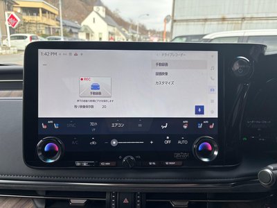 2024 Lexus LM photo 46