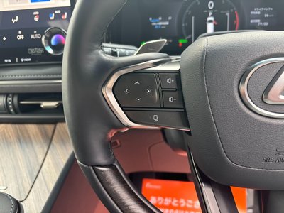 2024 Lexus LM photo 32