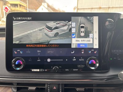 2024 Lexus LM photo 45