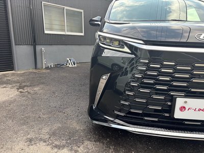 2024 Lexus LM photo 8