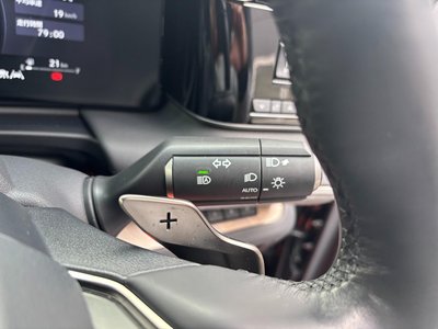 2024 Lexus LM photo 31