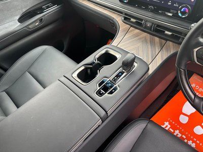 2024 Lexus LM photo 47