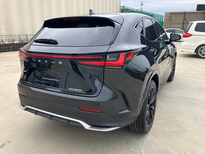 2025 Lexus NX photo 14