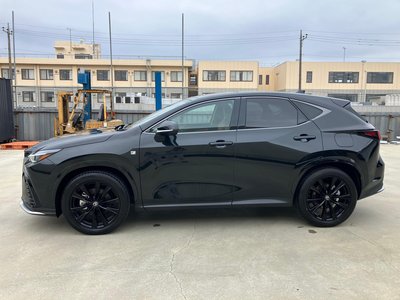 2025 Lexus NX photo 16