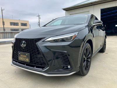 2025 Lexus NX photo 11