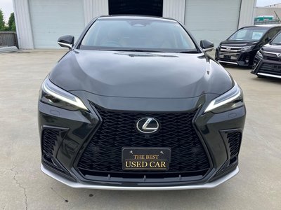 2025 Lexus NX photo 10