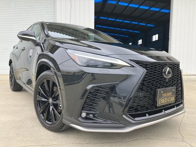 2025 Lexus NX photo 1