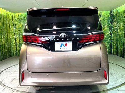 2025 Toyota ALPHARD — фото 15