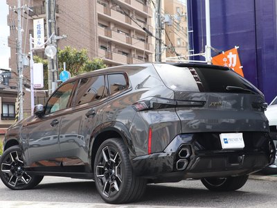 صورة 10 لـ 2023 BMW XM