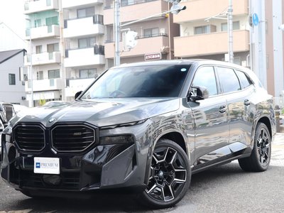 صورة 26 لـ 2023 BMW XM
