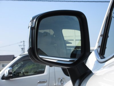 2025 Toyota LAND CRUISER 300 thumbnail 30