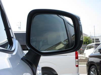 2025 Toyota LAND CRUISER 300 thumbnail 31