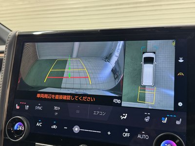 2025 Toyota ALPHARD photo 62