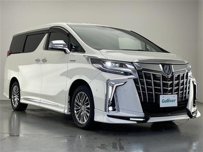 2020 Toyota ALPHARD 照片 41