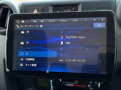 2025 Toyota LAND CRUISER 70 thumbnail 63
