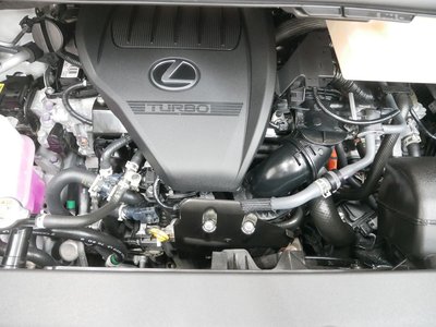 2024 Lexus LM photo 9