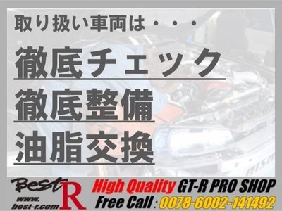 1993 Nissan SKYLINE GT-R 照片 5