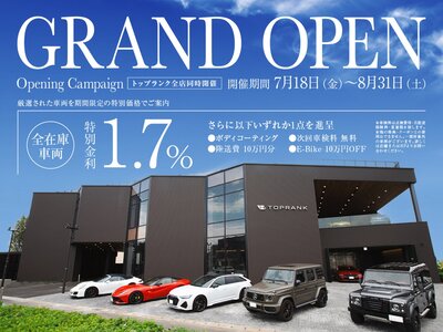 2010 Porsche 911 照片 8
