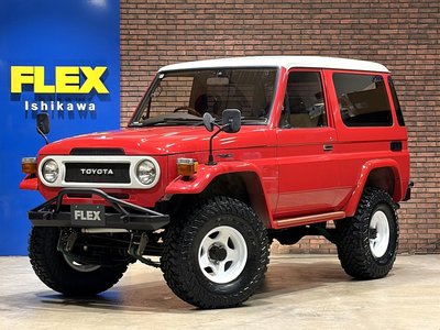1998 Toyota LAND CRUISER 70 照片 1